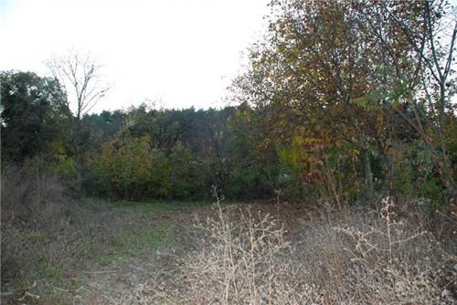 Bilecik Satılık Bahçe