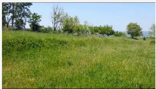 Bilecik Satılık Tarla Arazi