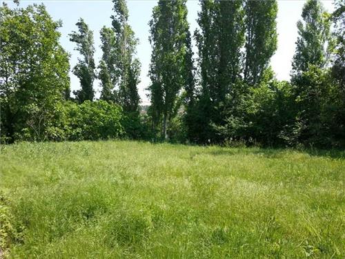 Satılık Tarla Bilecik